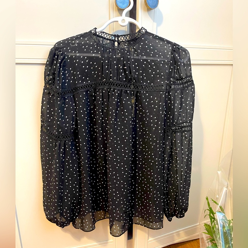 Max Studio Sheer Polk dot top